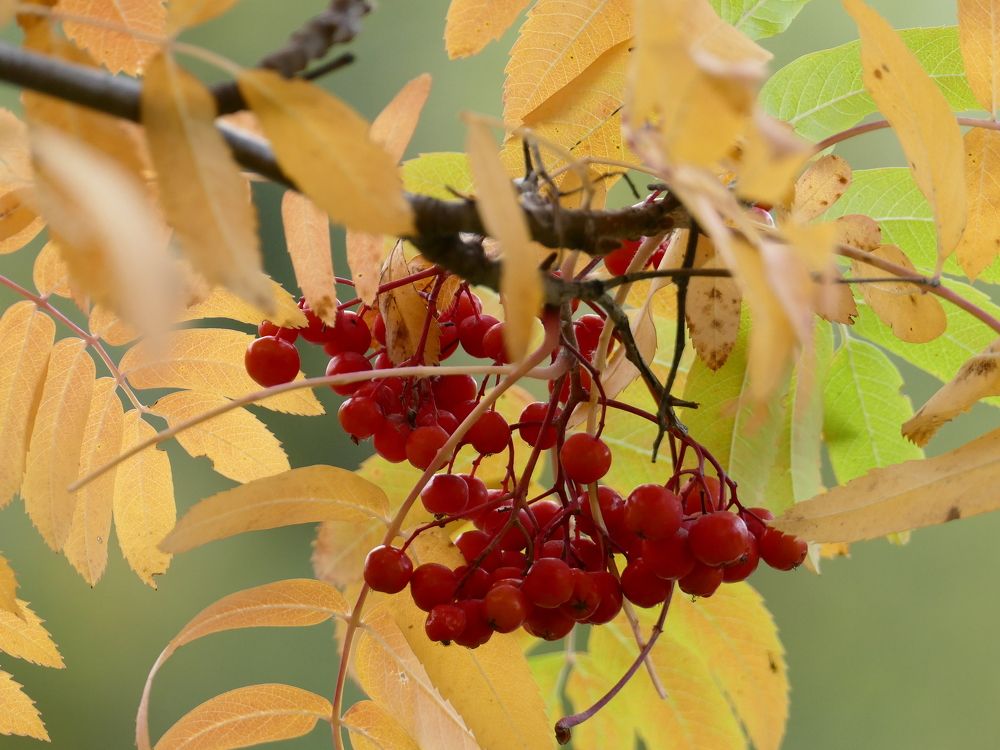 Photograph by Александр Кизим