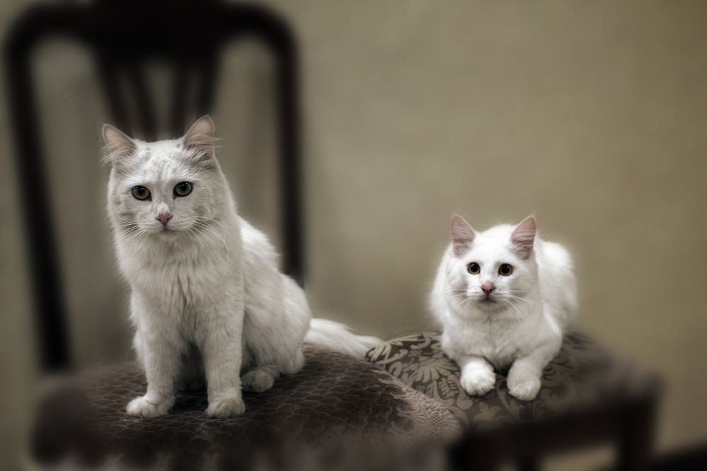 Photograph by Виктор Холодов