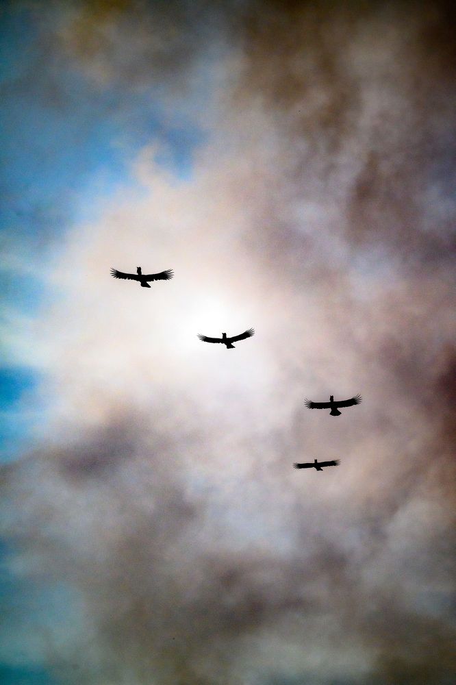 Photograph by Nabarun Majumdar