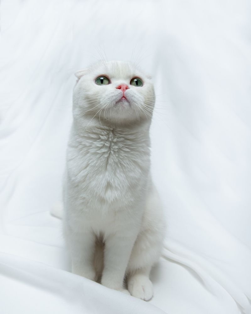 Photograph by IREN TOVMA