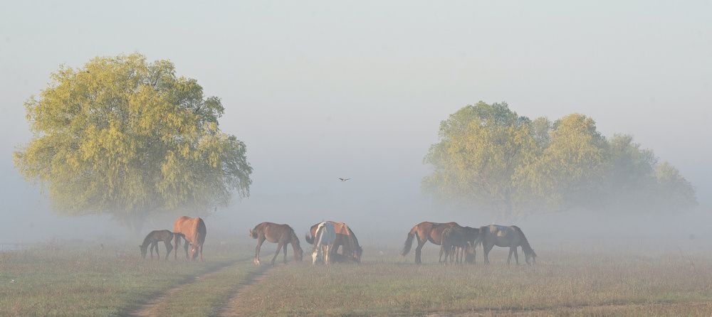 Photograph by Сергей Басов