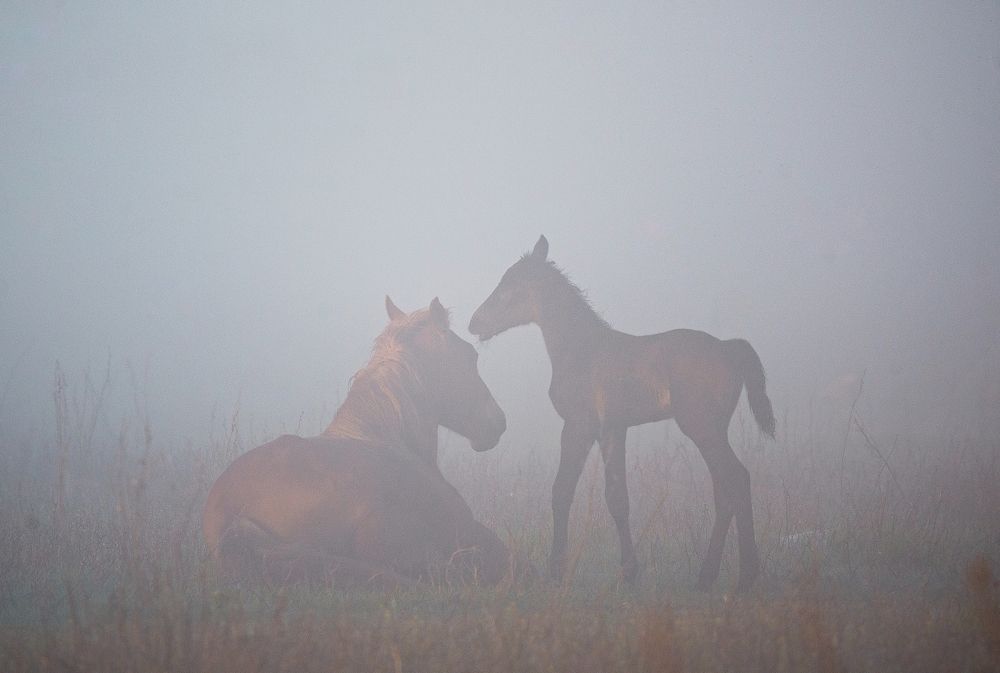 Photograph by Сергей Басов