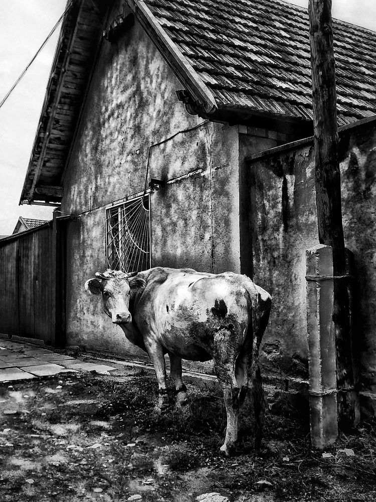 Фотография автора Julie Mishka