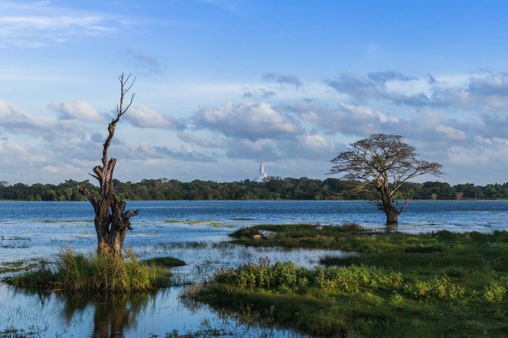 Photograph by Harsh Keppetipola