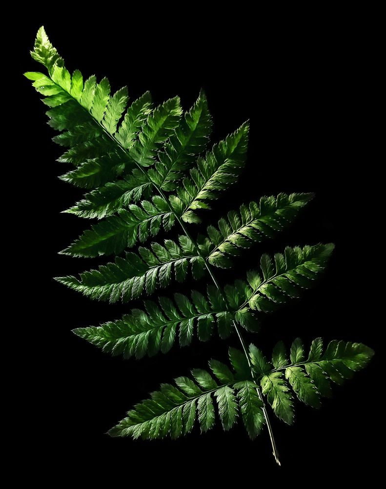 Парящий в космосе