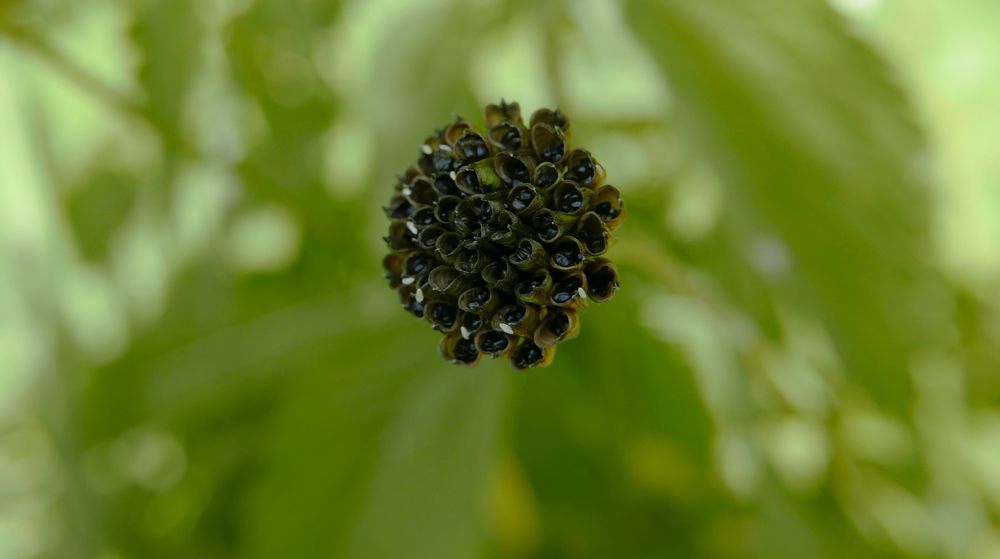 Photograph by Алексей Чернов