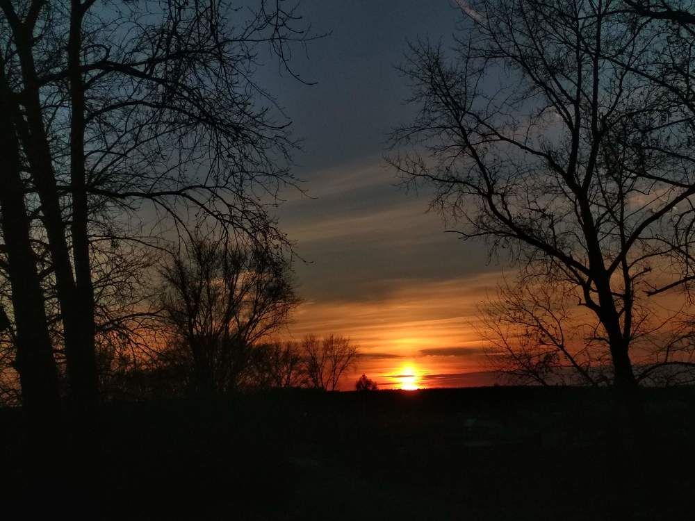 Photograph by Ирина Немкина