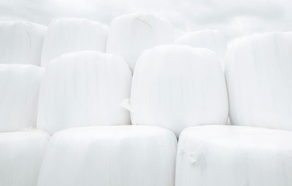 Фотография автора Людмила Прокофьева