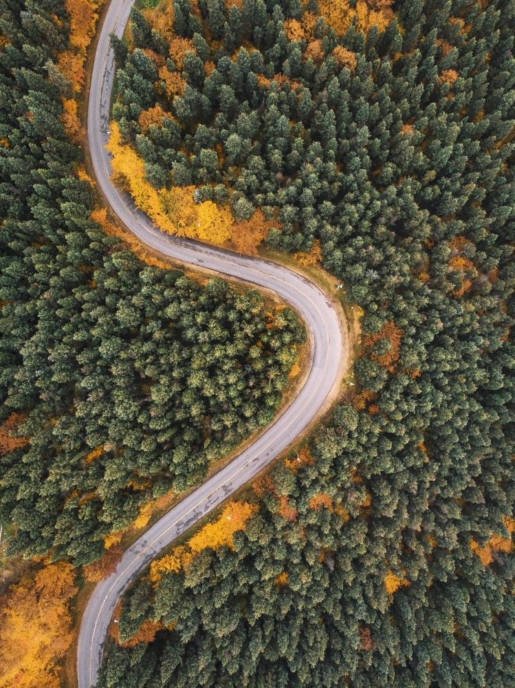 Фотография автора mohammad hossein moheimani