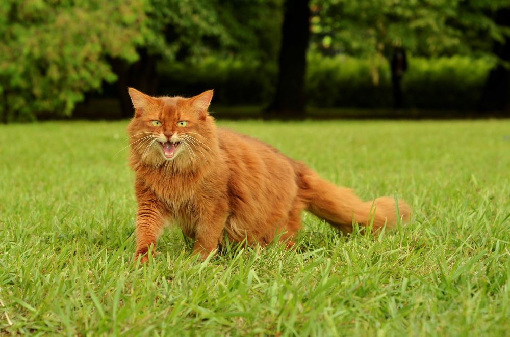 Photograph by Юлия Сидорова