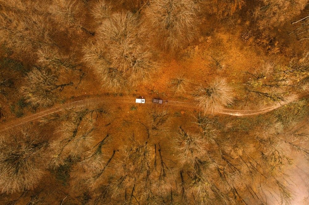 Фотография автора mohammad hossein moheimani