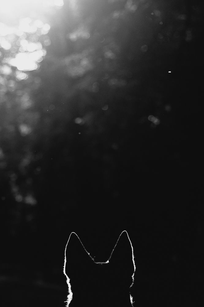 Photograph by Татьяна Степанова