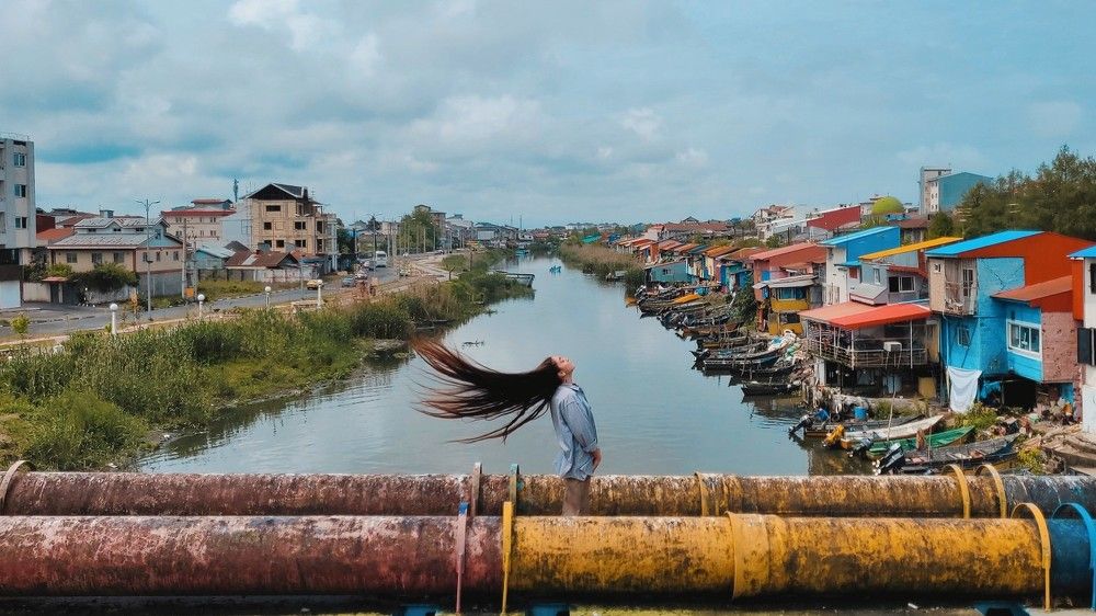 Фотография автора mohammad hossein moheimani