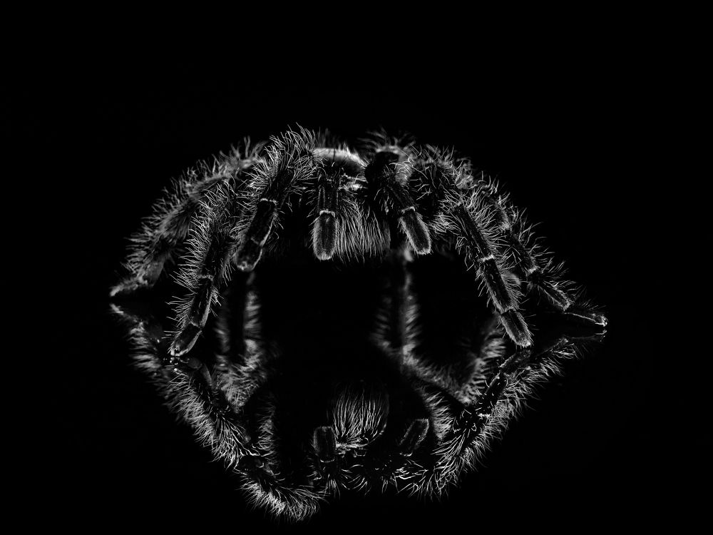 Photograph by Evgeniy Savikov