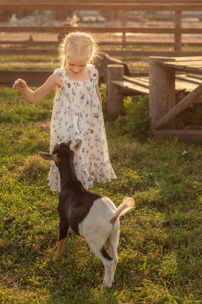 Фотография автора Светлана Дроголюбова