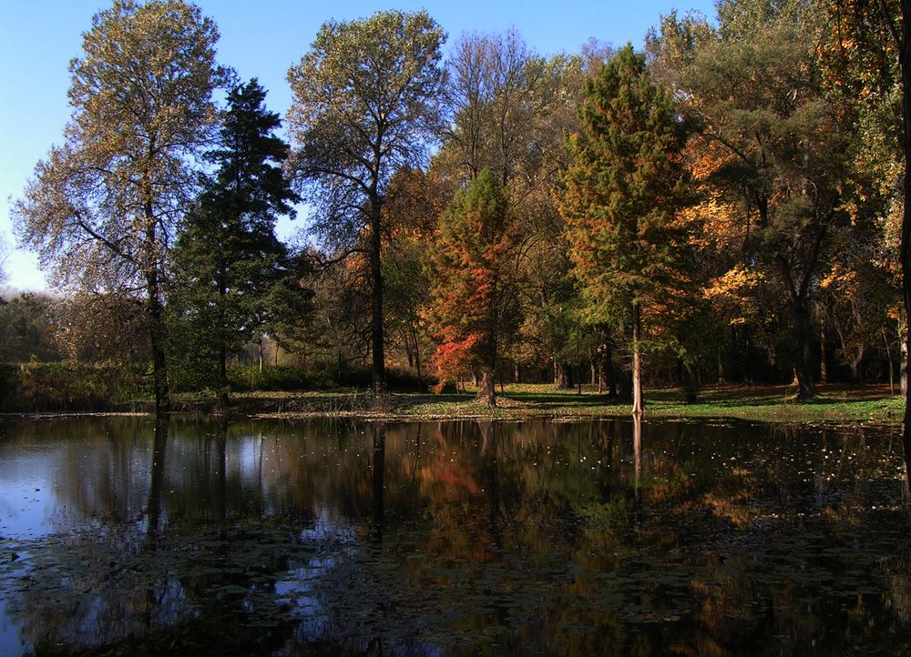 Фотография автора Dubravko Maricic