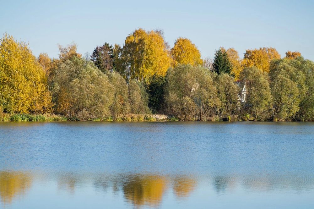 Photograph by Олеся Владимирова