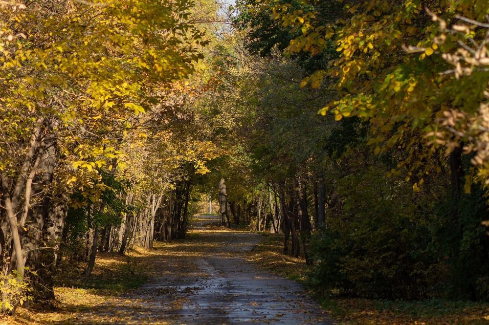 Photograph by Олеся Владимирова