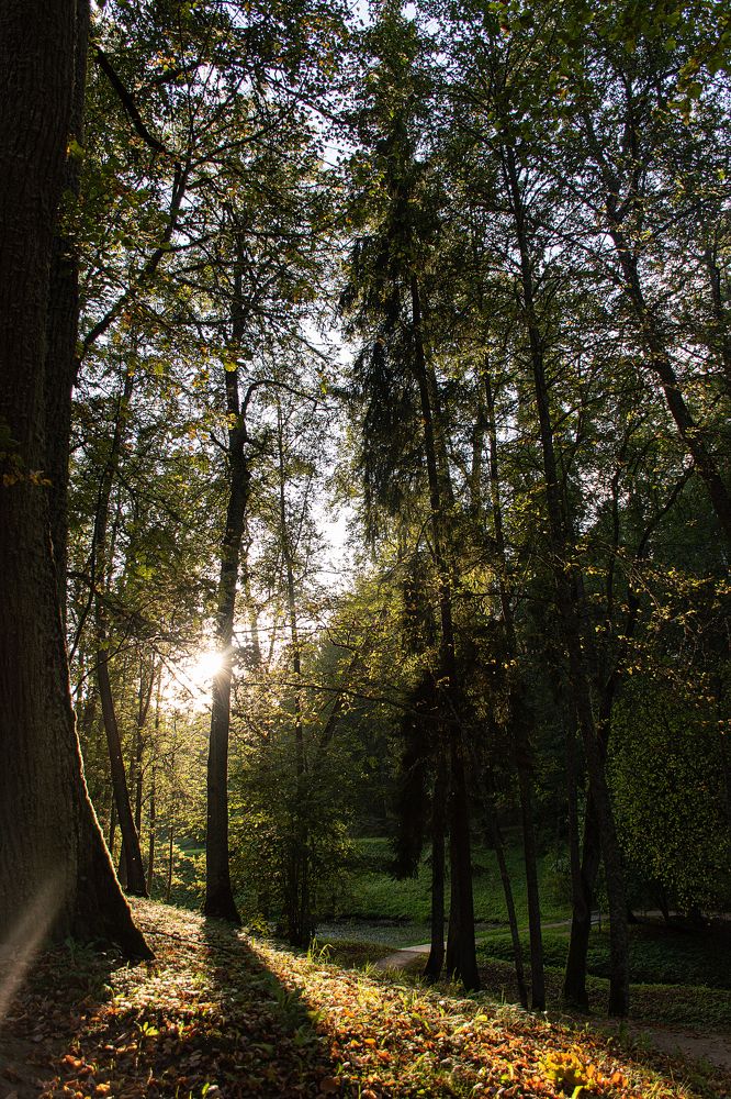 Фотография автора Светлана Дроголюбова