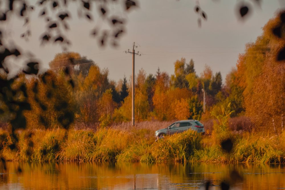 Photograph by Very Good