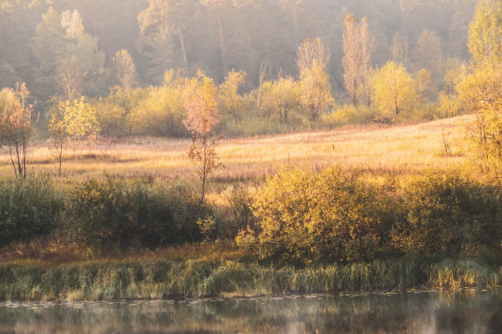 Photograph by Елена Квасова