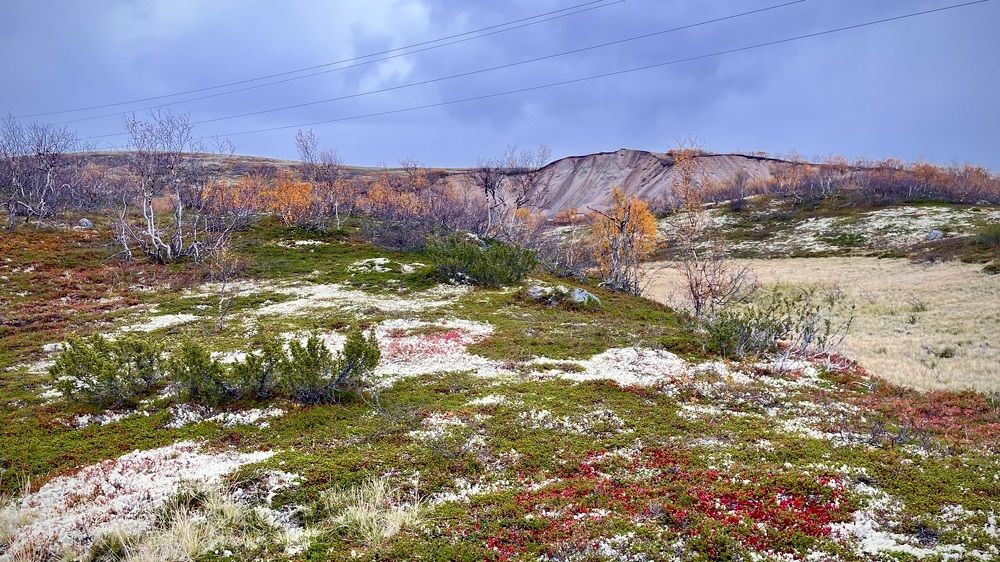 Фотография автора Юлия Шумейко