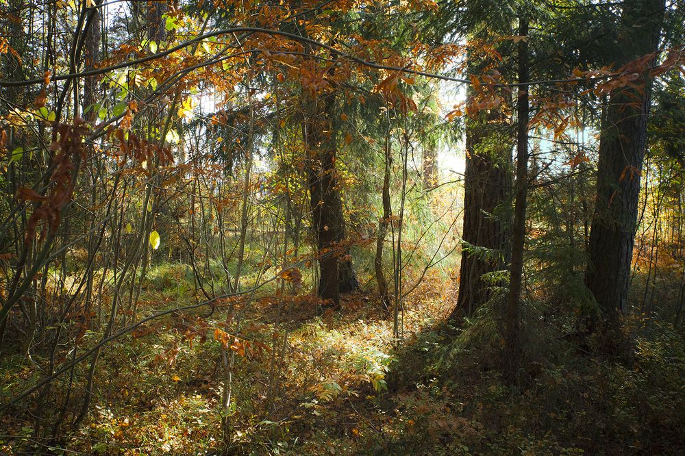 Photograph by Борис Назаров