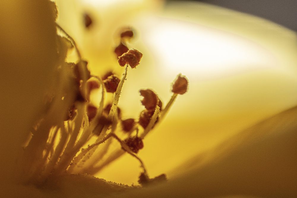 Photograph by mona gh