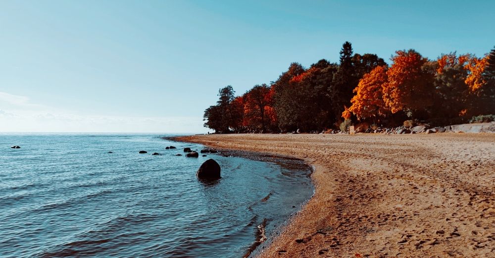 Фотография автора Ekaterina Sapezhinskaya