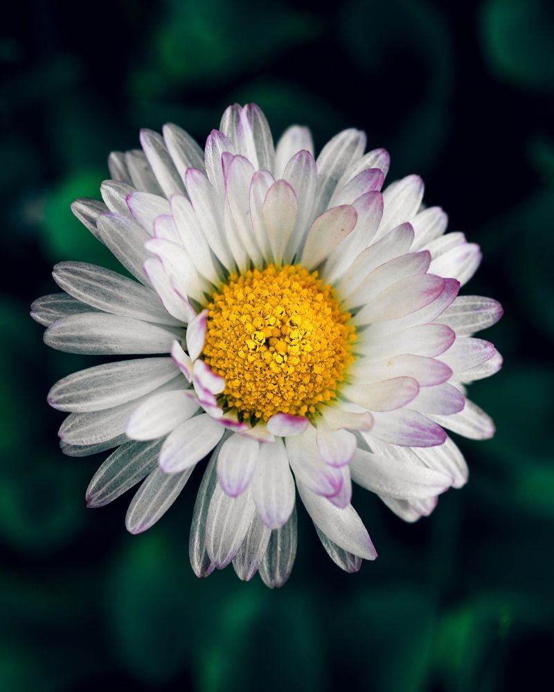 Photograph by Иван Колесенко