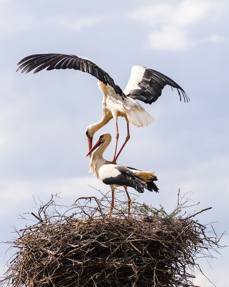 Photograph by Иван Колесенко