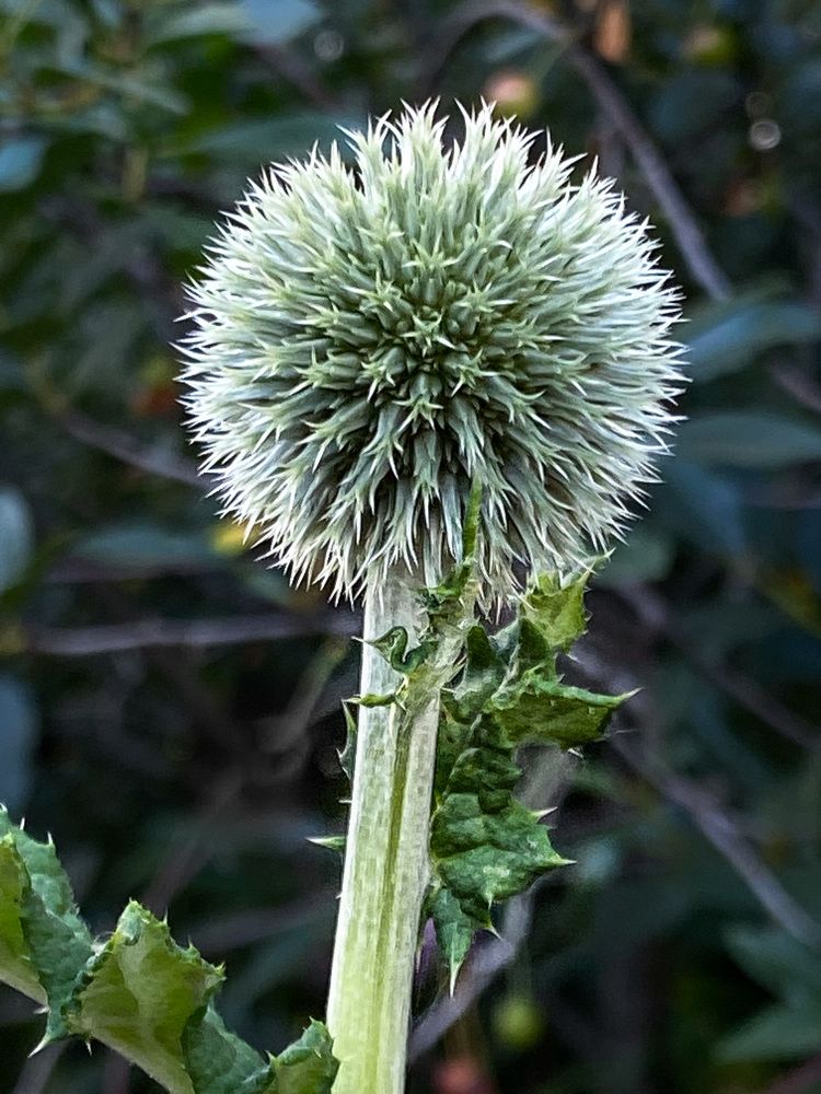 Photograph by Вера Романова