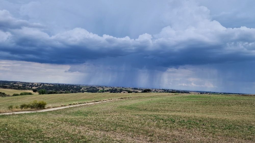 Photograph by Noemí Hornero