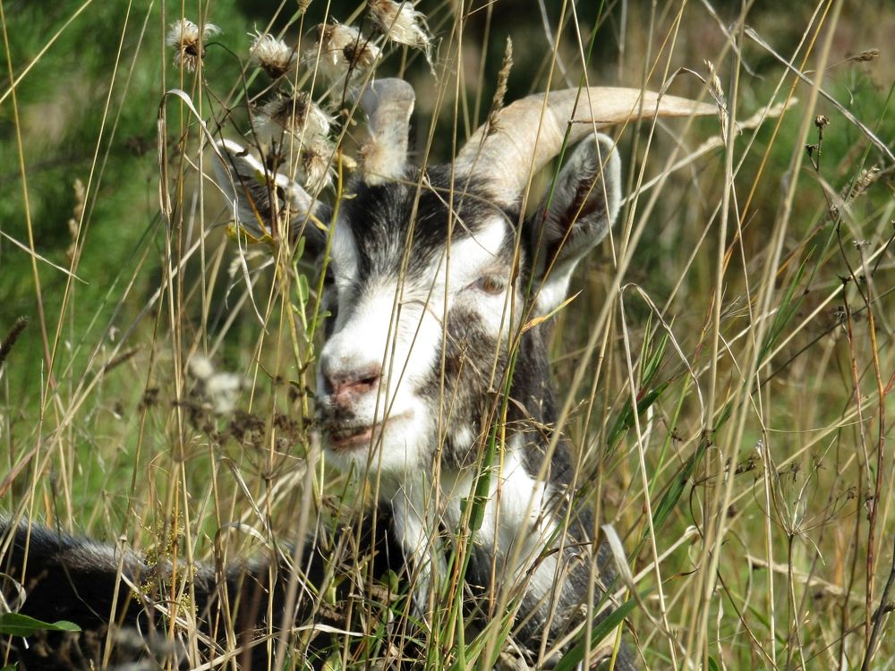 На прогулке