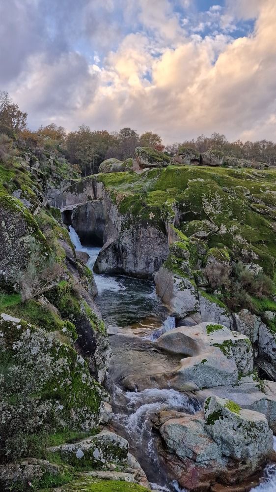 Photograph by Noemí Hornero