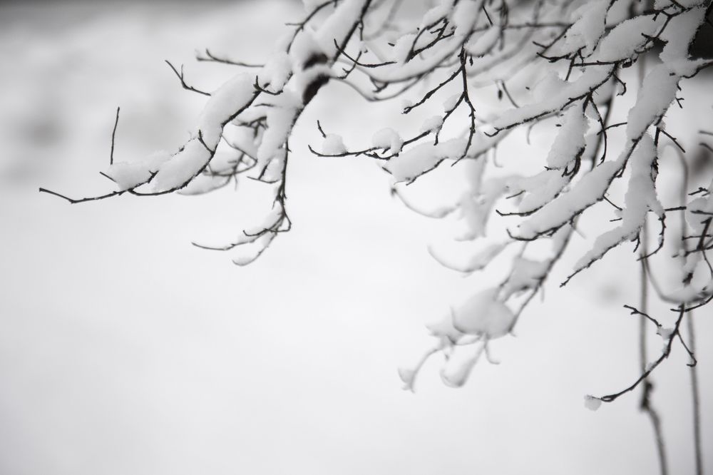 Photograph by Анастасия Занадворова