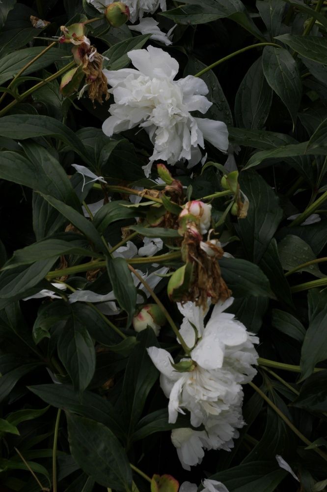 Photograph by Татьяна Аршинова