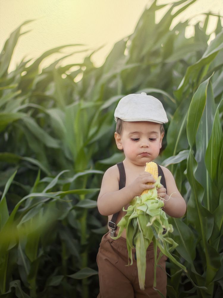 Photograph by منیره سامتی