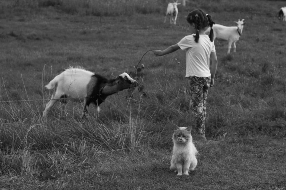 Photograph by Татьяна Аршинова