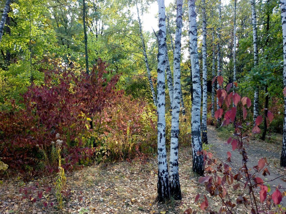 Photograph by Татьяна Пальчикова