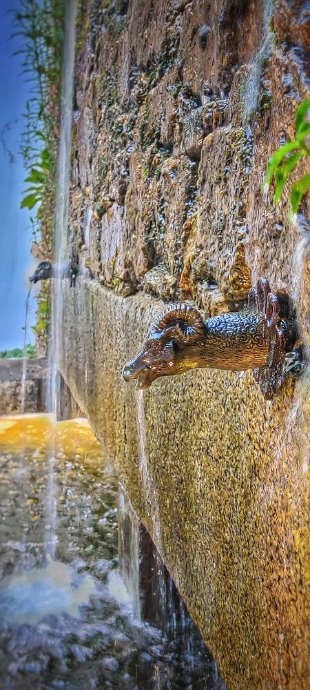 Photograph by Noemí Hornero