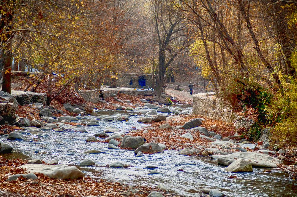 Photograph by DAMOUN POURNEMATI