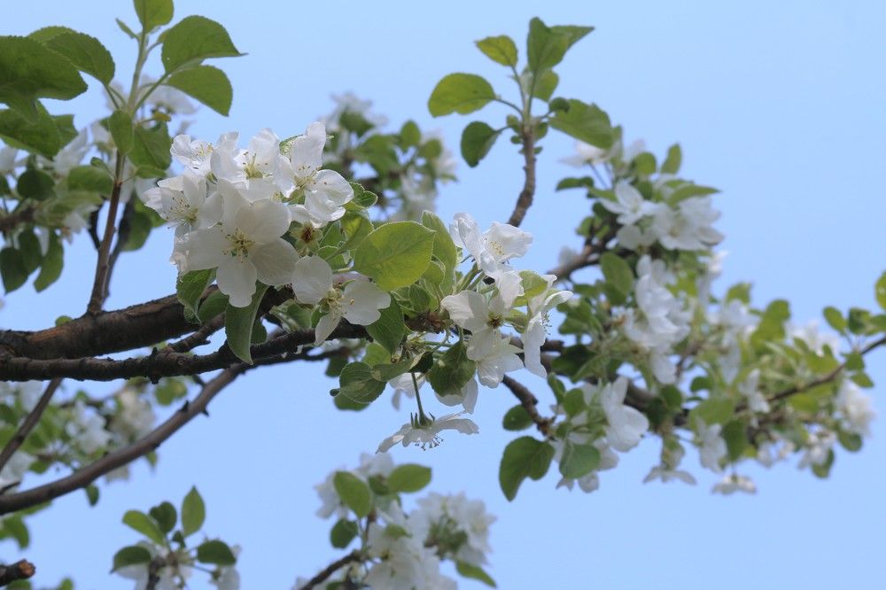 Photograph by Софья Белоногова