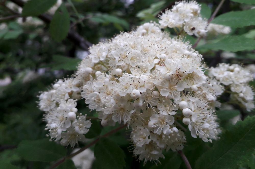 Photograph by Ольга Березовская