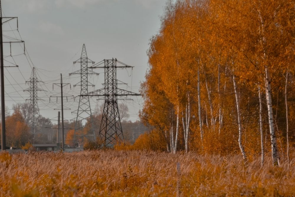 Photograph by Very Good