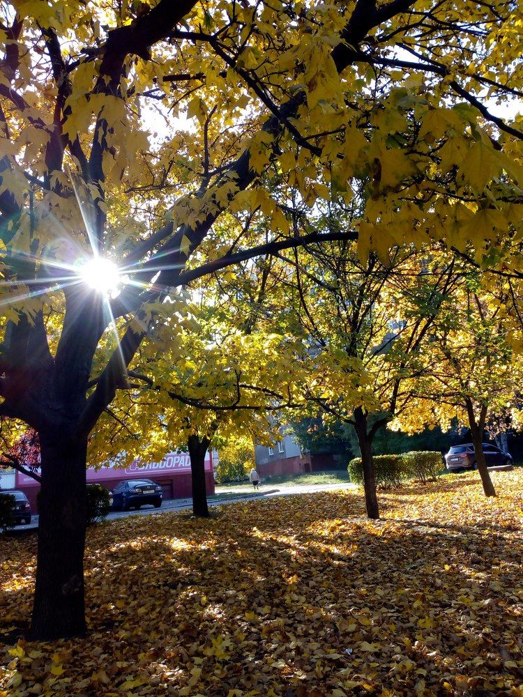 Photograph by Татьяна Пальчикова