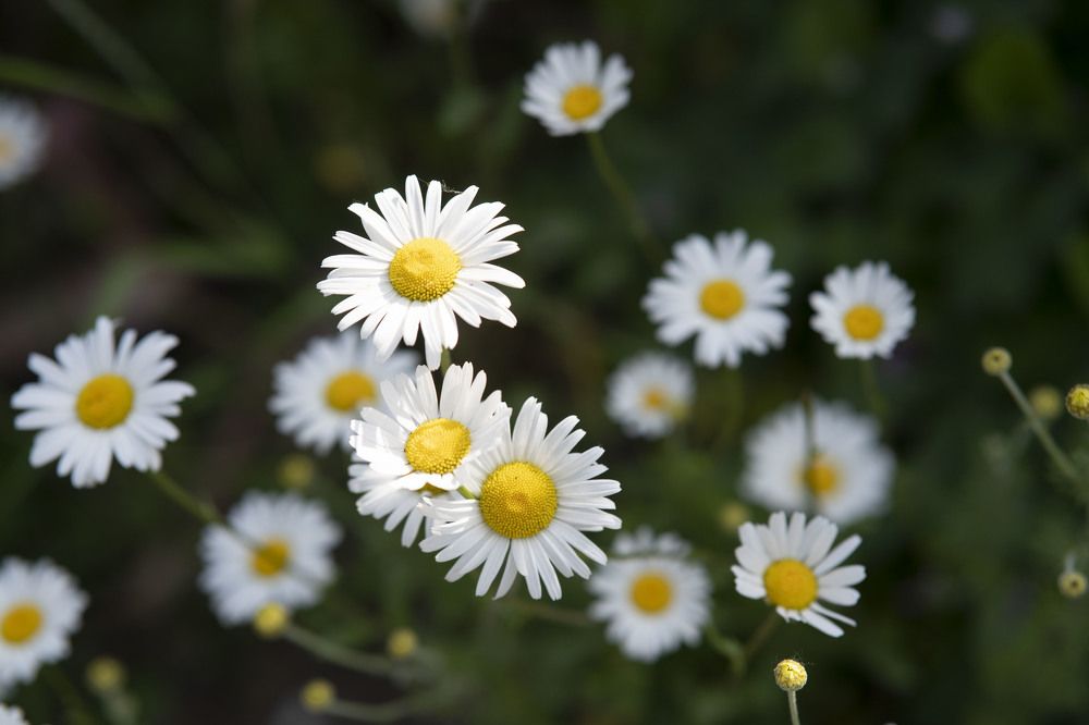 Photograph by Марина Вильдяева