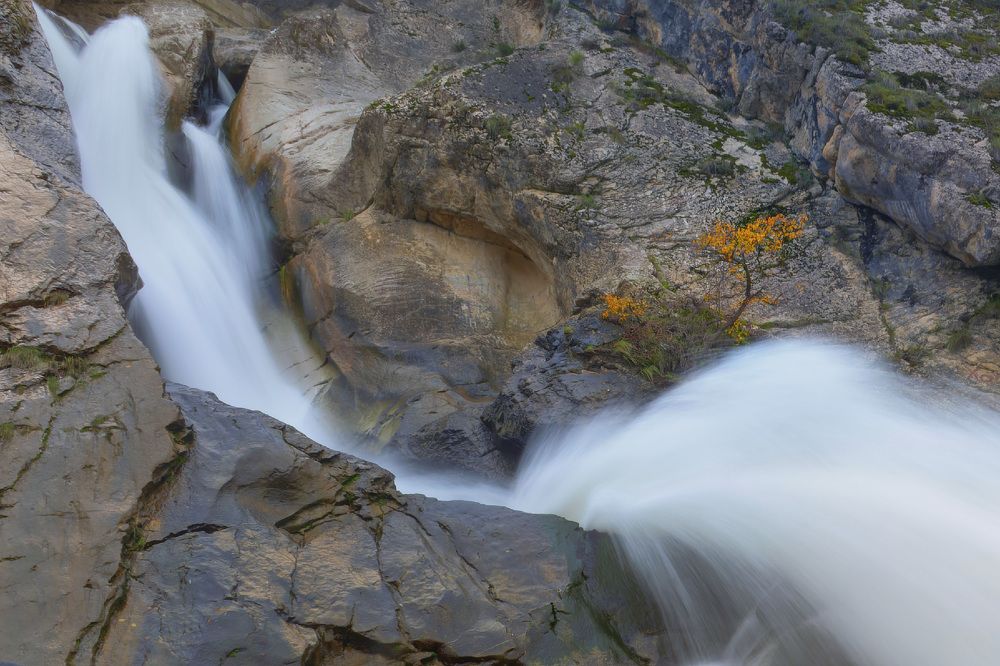 Фотография автора Tatyana Zorina