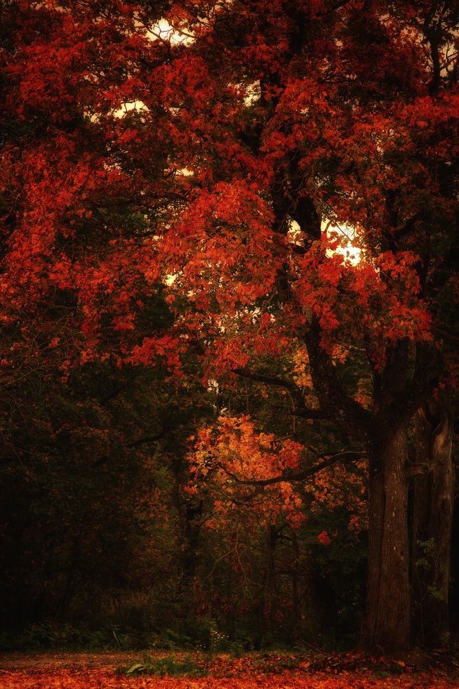 Photograph by Владимир Борозенец