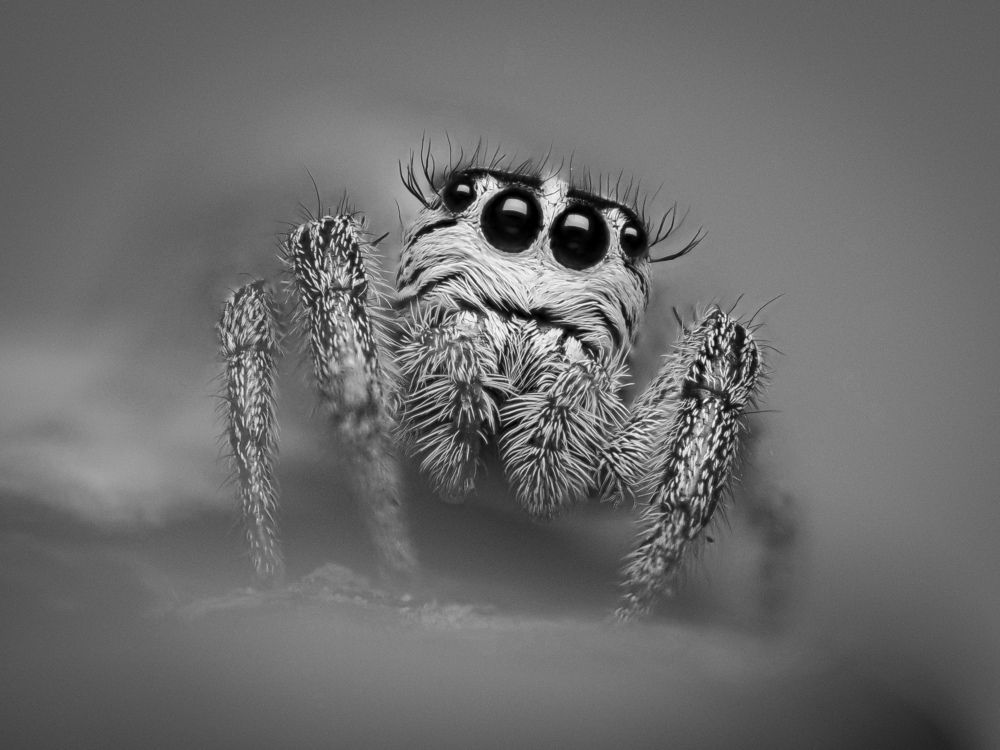 Photograph by Efraïm Baaijens